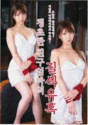 半路母女 小说封面